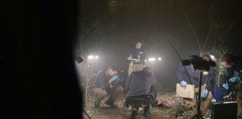 目击者美剧 在线观看,揭秘真实事件背后的惊人真相 第1张 目击者美剧 在线观看,揭秘真实事件背后的惊人真相 第1张