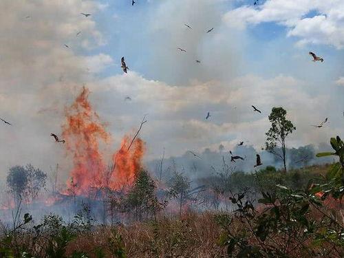 火鹰最新爆料视频,揭秘神秘项目,科技革新再掀热潮 第2张 火鹰最新爆料视频,揭秘神秘项目,科技革新再掀热潮 第2张