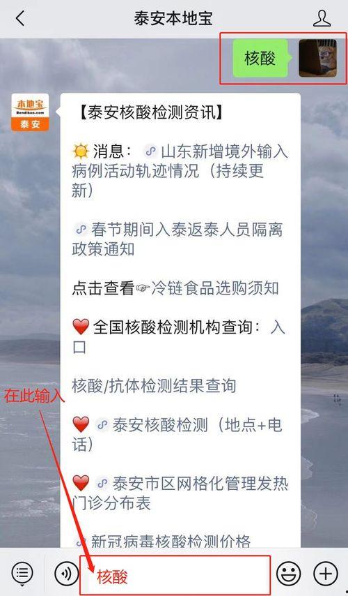 泰安核酸爆料事件真相最新,真相与反思  第1张